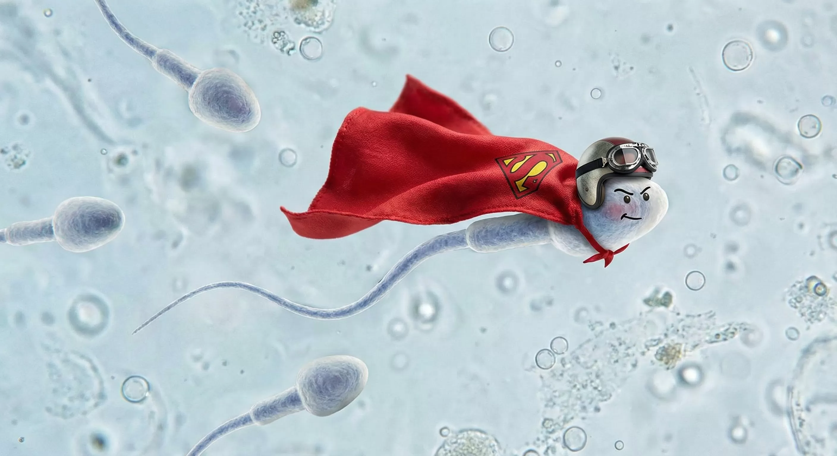 At the Intersection of Fact and Myth: Sperm Cells