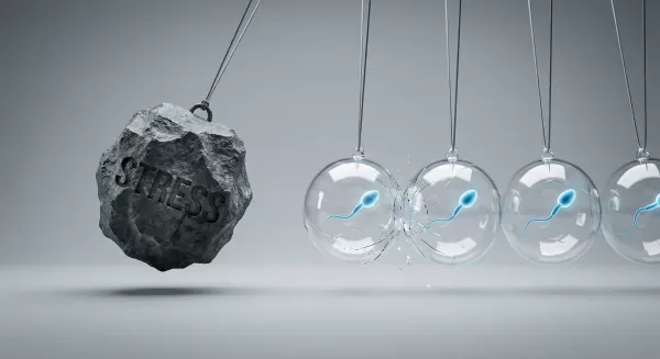 The Effects of Stress and Anxiety on Reproductive Health